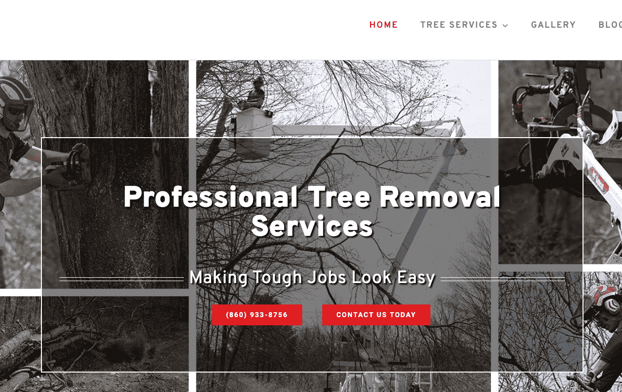 Professional Tree Removal